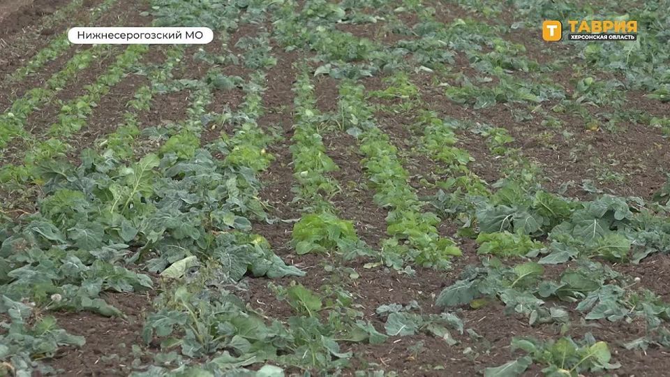 ����������� �� ����������� ����� ��� �������� ����� ������� � ������ ���������