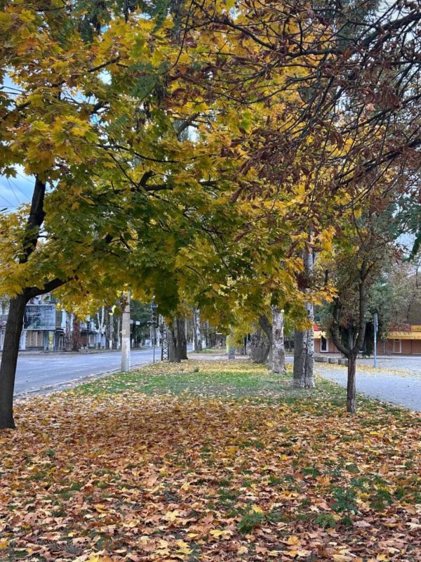 ������ ����, ������� ������