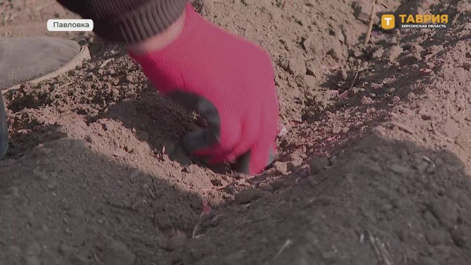 ������� ���������� ������� ���������� ������ �� ������� �������