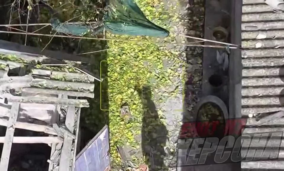 ���� �� �������: �. �����������, ������. ������ ������ � �������� ��������