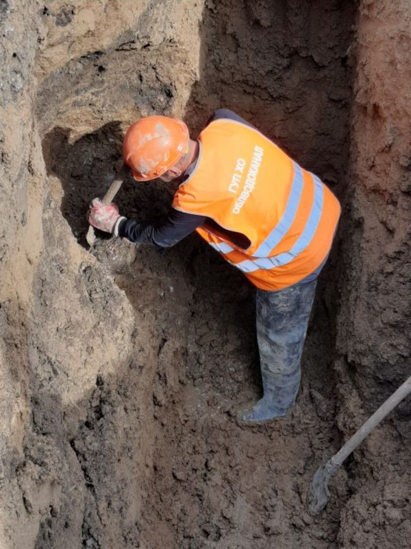 ���������� ���������� ��� ������� ��������-����������������� ������ ������������ ������ ������