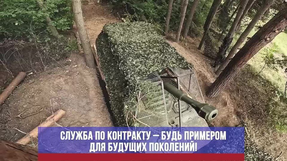 ���� ������ � ���� ���������������