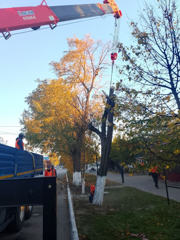 � ��������� ������� ����������� ������ �� ��������������� � ������������