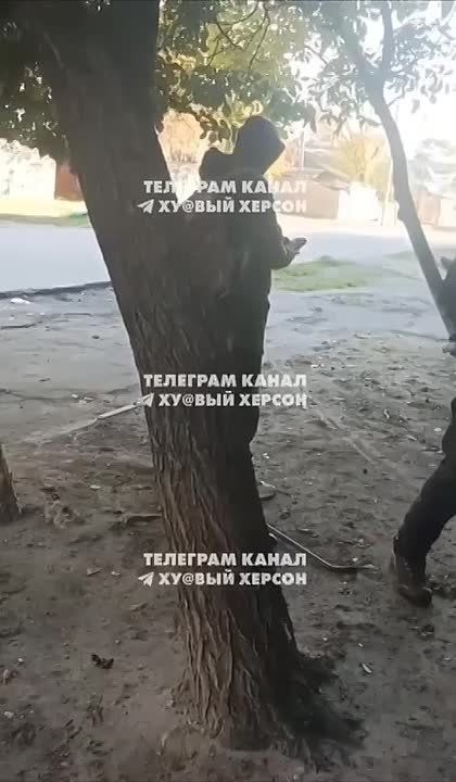 "������ ������ �� ��� � ������ � �� ����������