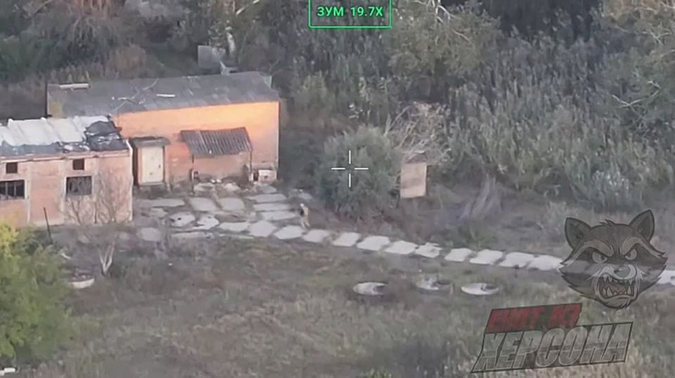 ���� �� �������: ������ �. �����������. �������� ���������� ���������� �� ������� ���������� ��������