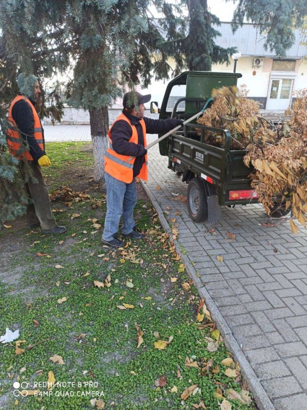 �� ���������� ����������� ������ ������������ ������ �� ���������������