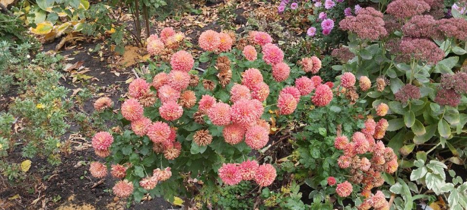 ������� ������ ����� � ����� �� ��������