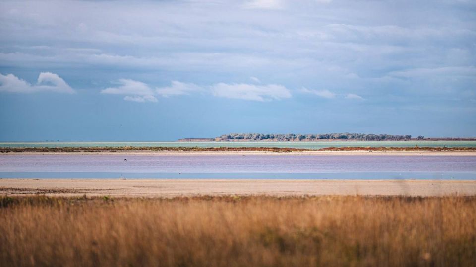 ������� ���� ���������� ������� ������, ���������� ������� � ��������� ����