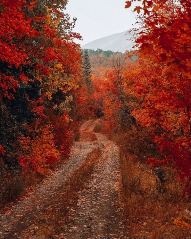 ��� � ������ ������������, ��� ������, ��� �����, ��� ����. �� ��� ����� ������ ������, ������ ������