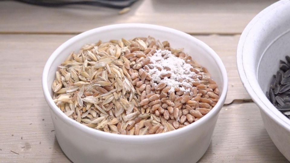 ����������� ���������� ������� ��������� ������ ��������������� �������� ������