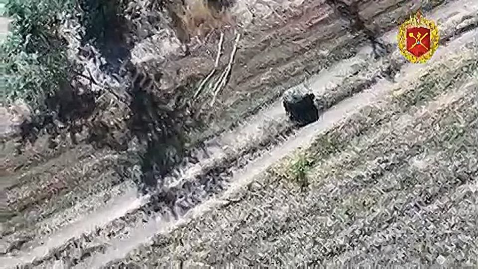 � �������� �������������, ����� ��� ������������� �������� �� ������� � ���������, �� ����� �������� �������� ����� 2024 ����, ��������������� ������������� ����������� ����������� �������