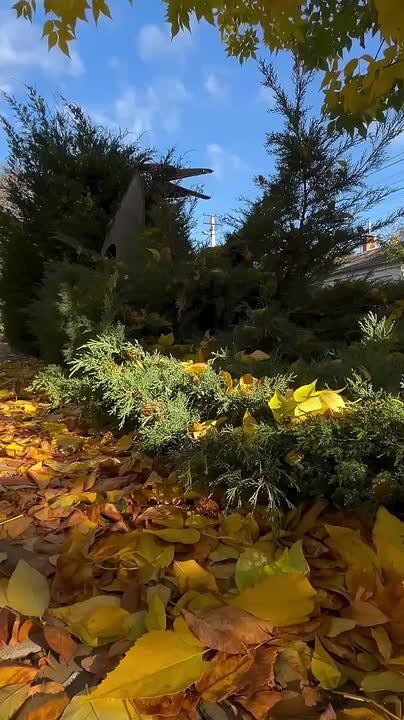 ����� � �������. ��������� �� ������.��