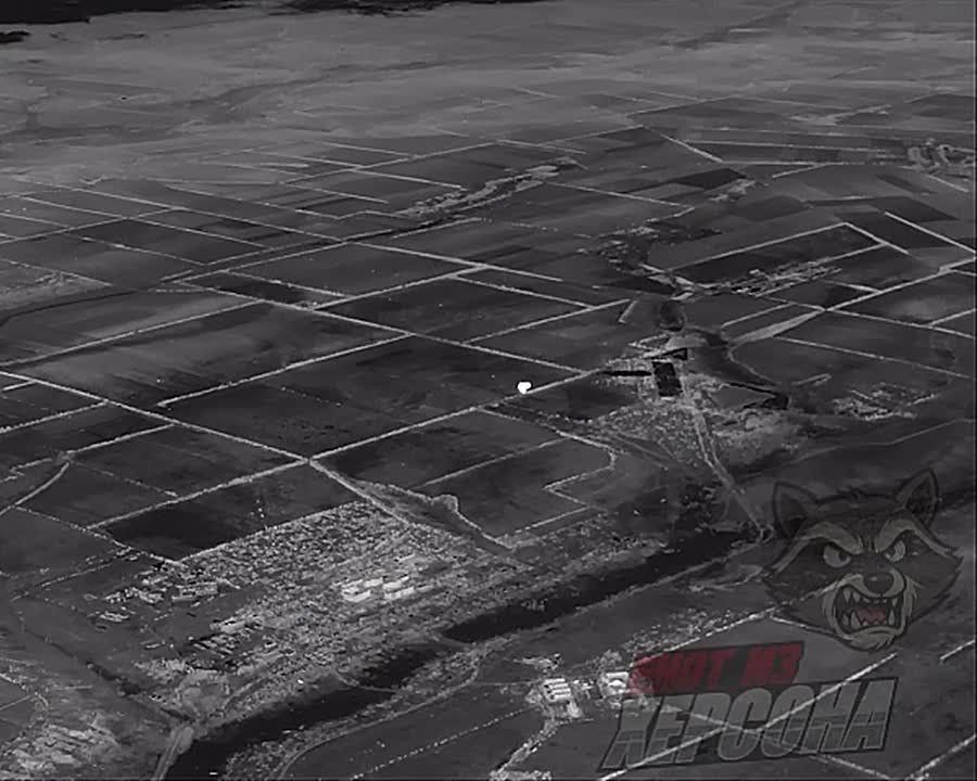 ���� �� �������: ����������� �����������. ��������� �� ������������ ��������� � ������������