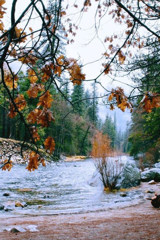 ��� ����� �� ���� ������� , ��� , ����� � � ������ ���� . � ��� ������ �������� , �� ������ � ��� ��� ����