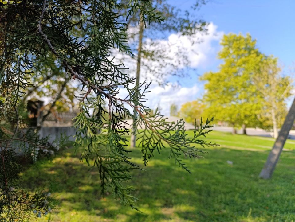 � ������ �����, ������! ���� �������� ���!