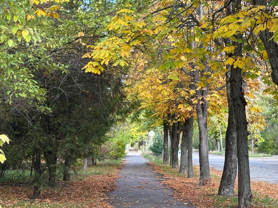 Доброе утро!. Сегодняшнее утро креативное, ведь свой профессиональный праздник отмечают те, кто делает наш мир ярче, информативнее и… убедительнее