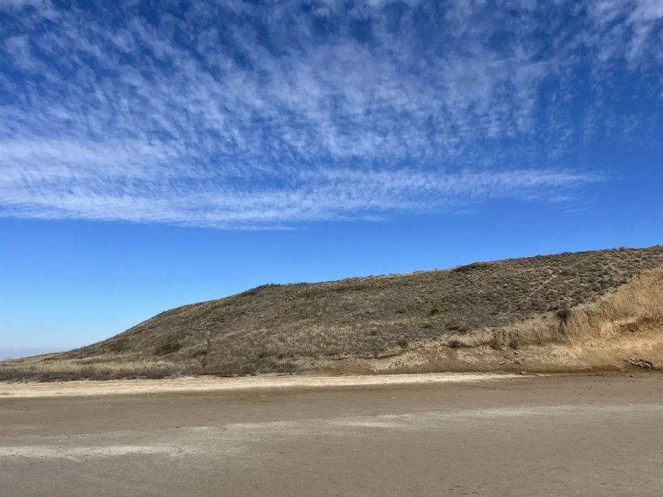 Херсонская природа в кадре: любуемся красотой родного края