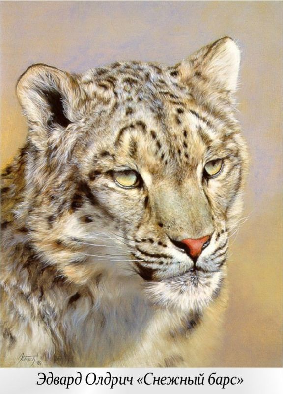 23 ������� - ������������� ���� �������� �����