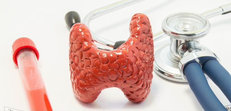 �������������� � ������ � ���������� ���������� ���������