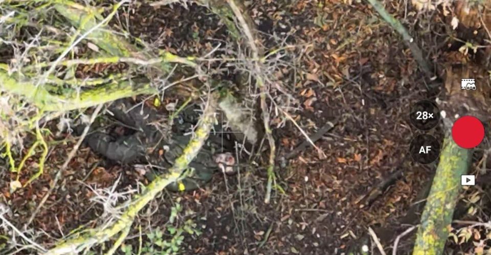 ��������� ����� ����� ��������������� ���