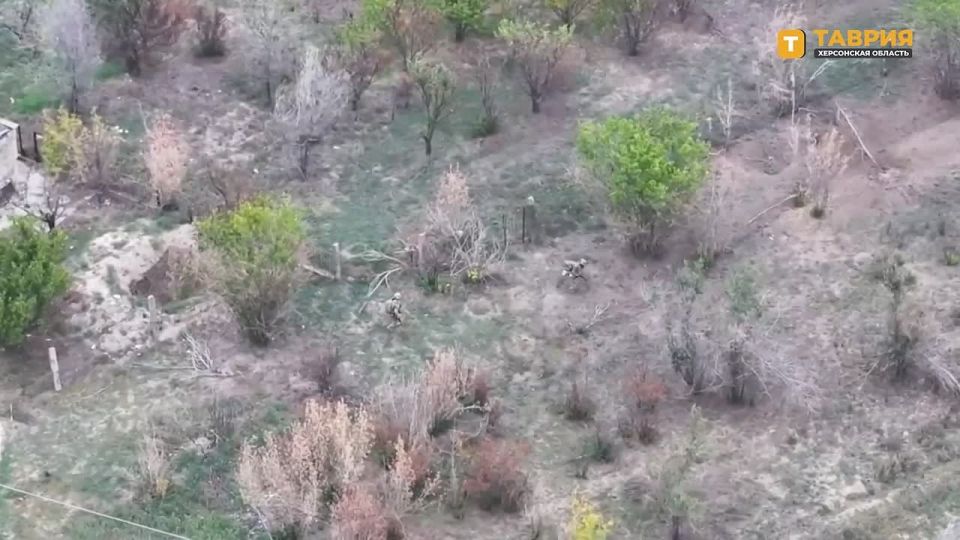 ������� FPV-������ �������������� ����������� ���������� ������ ������ ���