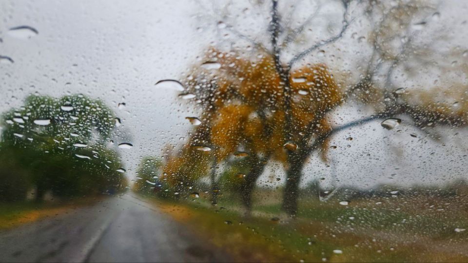 ������ ����, ���������!. � �������, 24 �������, ������ ������ ����������� ����� ������� ��������� � ������������� � ������ ����