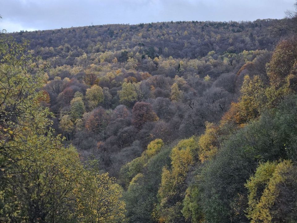 ����� �������: XII ����������� ������-���������� ������������� ���������� ����������� ����������� � ������������� ����������� ���������-���������� ����������