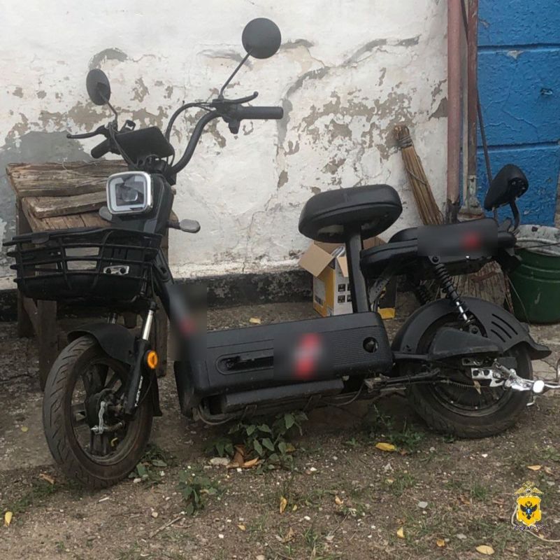 В Нижнесерогозском округе задержали подозреваемую в краже электровелосипеда