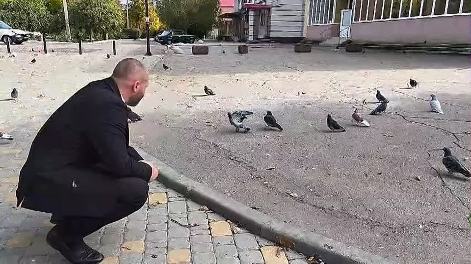 ����� ��������: ��������. ���������. ������