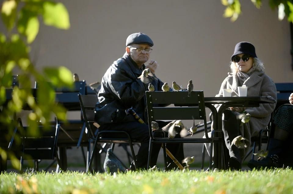 � ������ ������� ���������� ������� ������� ������