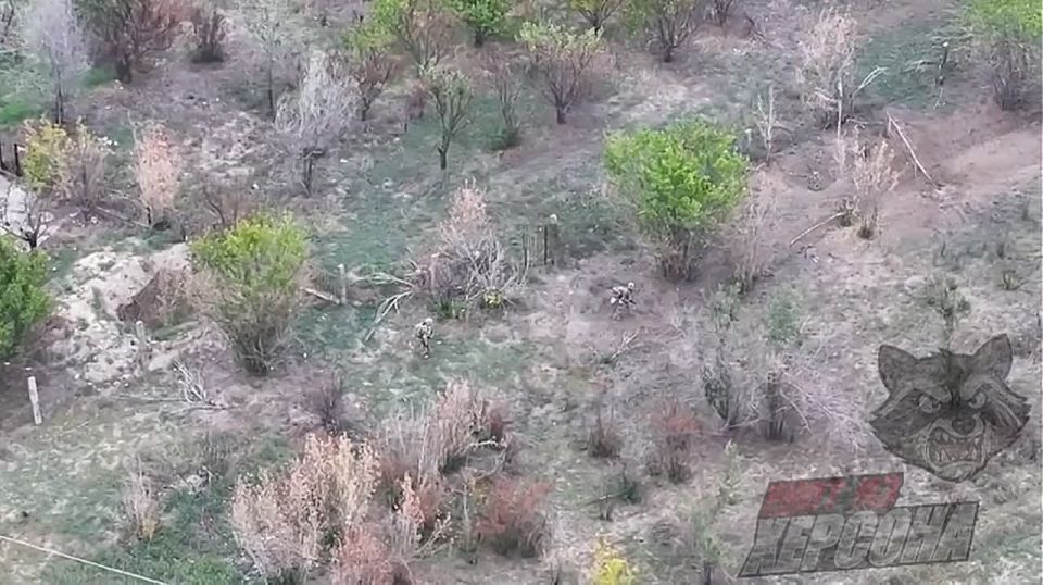 ���� �� �������: ��� � ���� �������� ����� ��������� ������������ ���