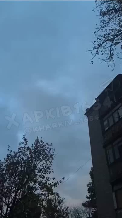 ����� � �������� � ������� ������ �������� � ������������ ��� �������