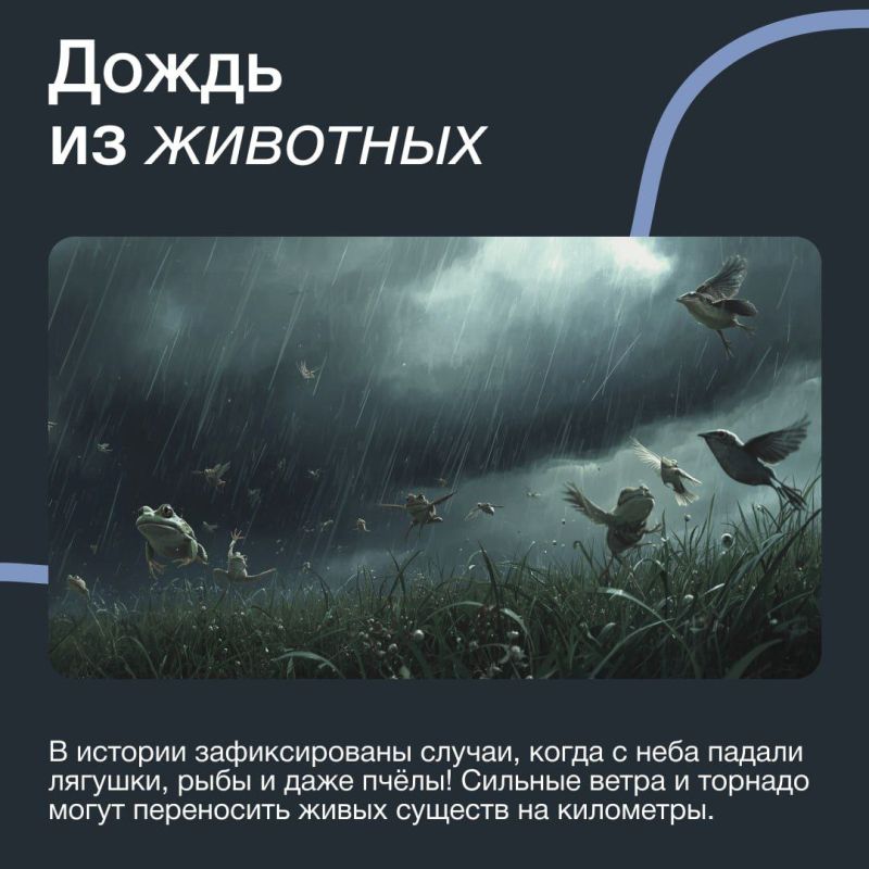 ��� �� ������ ���������� � �� ��������� ������ ���� ������������� � ���������