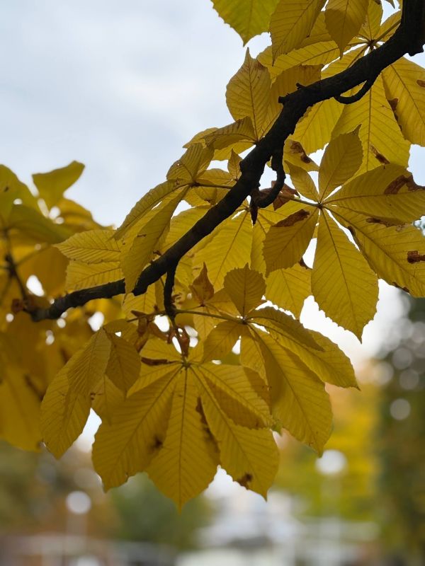 Доброе утро!. Пока наш округ только просыпается, у тех, кто стоит на защите экономических рубежей, рабочий день уже в полном разгаре