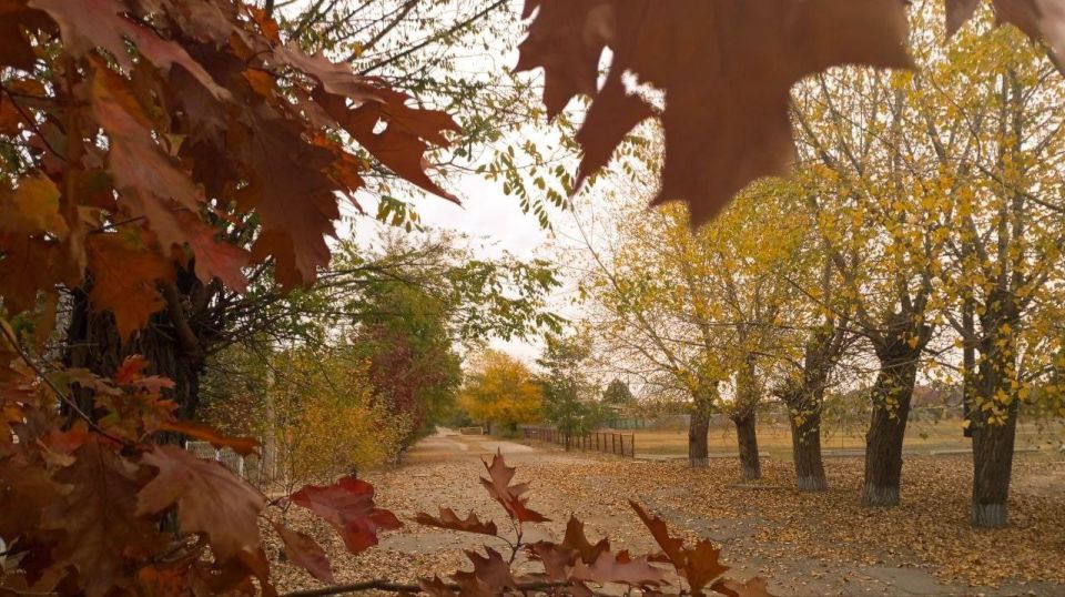 ������ ����, �����������!. ��������� ���� � ����� ��� ��������� ����������