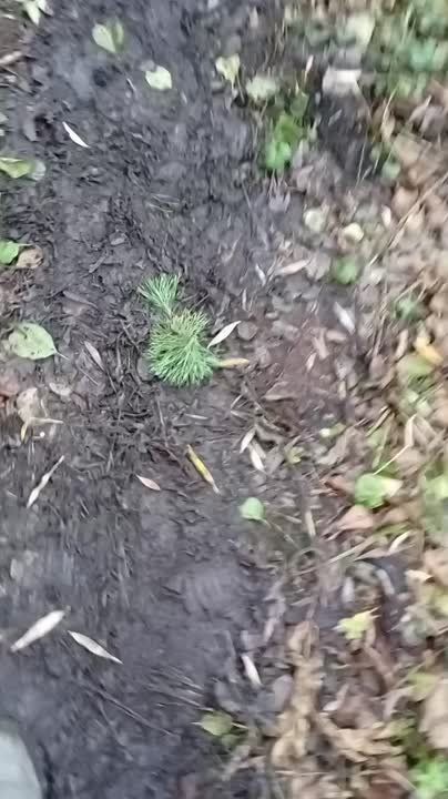 ��������: ����� ������ �� ������