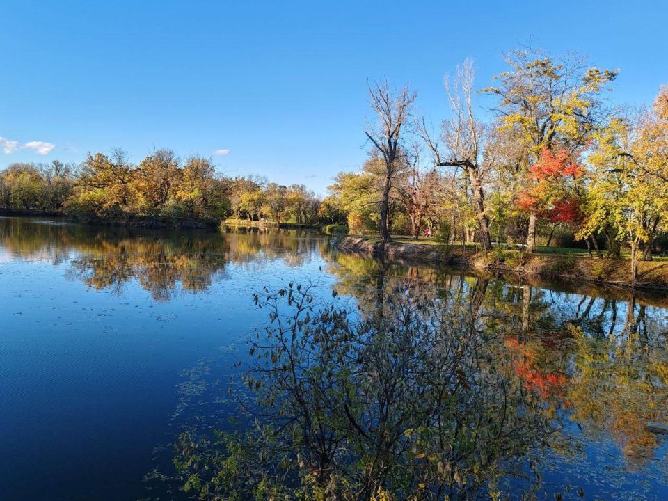 ����� ����������: � ��� ������ ������� #�����������������