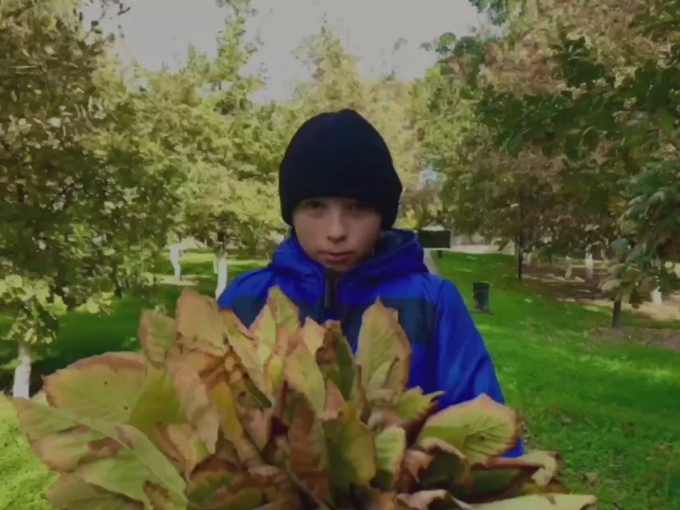 Фотопоход «Золотистая осень в объективе» состоялся в МБУК «Алёшкинский центр культуры и досуга»!