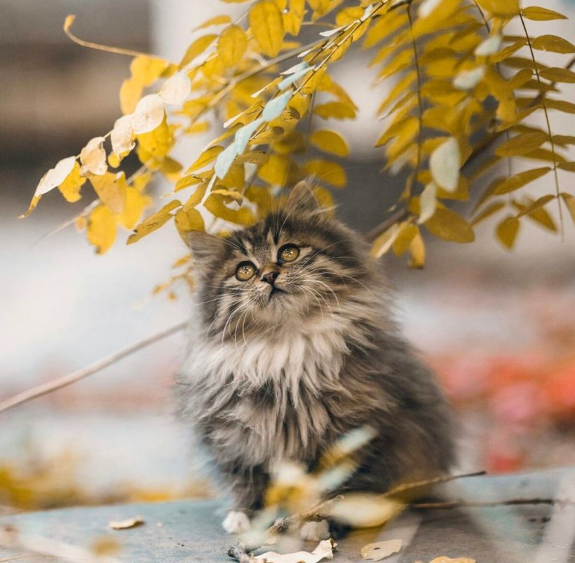 � ���������� ������� ������� ����� ��������� ������� ����� � ����� �����!