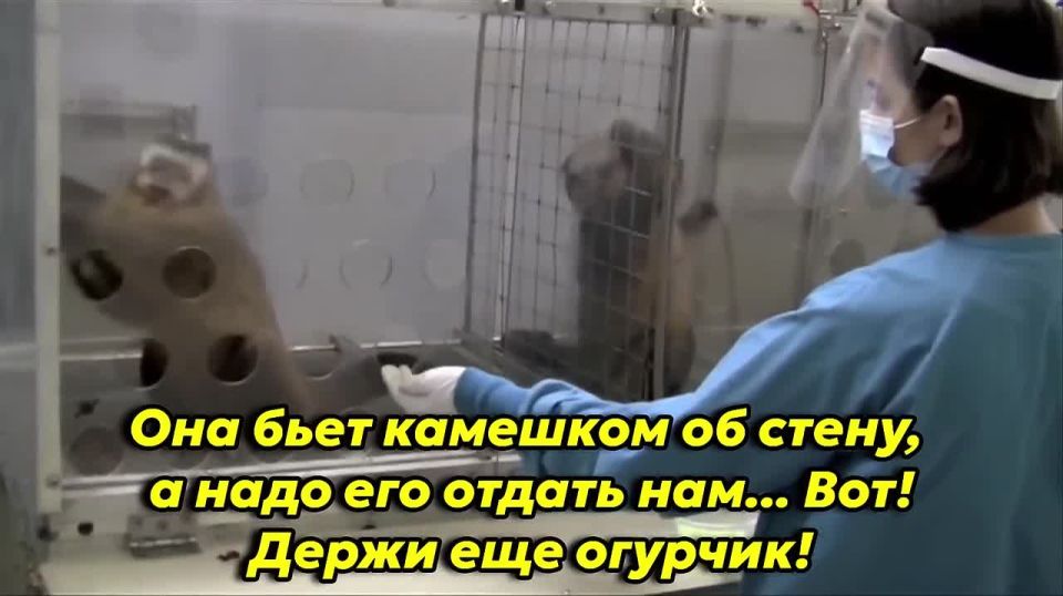 ��������� ��������� �������� ������ �����, ������������ 2003 ����, � ������� ���� ���������� ��� ������������ �������, � ������ � ������� ����� �������� ���������� (�� ���� � �� �� ������)