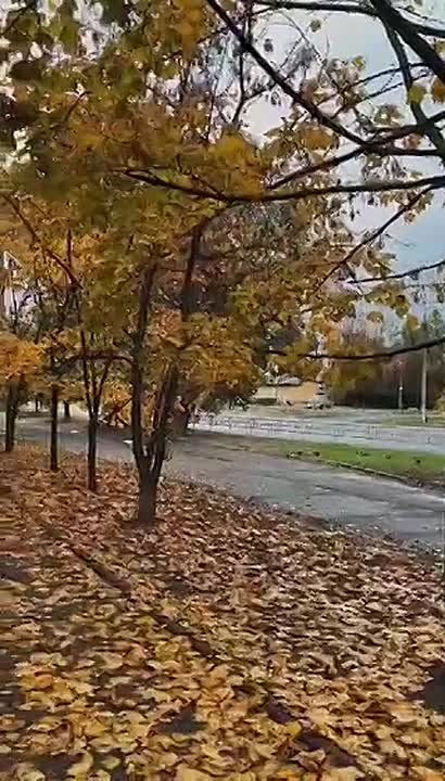 ������, 26 ������� 2025. ������� ���� �������� � ����������� ���������