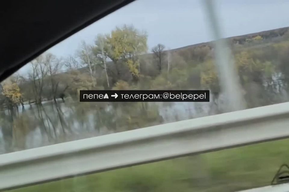 ����� ������������� ������������� �������� ����� ������ ����������� �����, ����� ������� �������