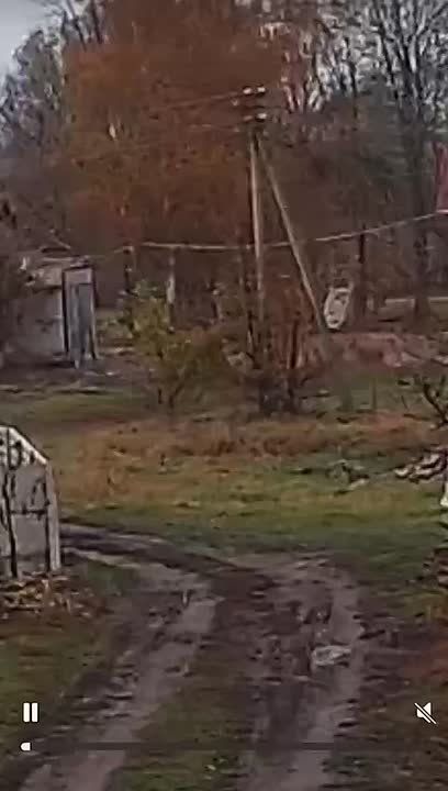 ������� � ������ ����������� �������