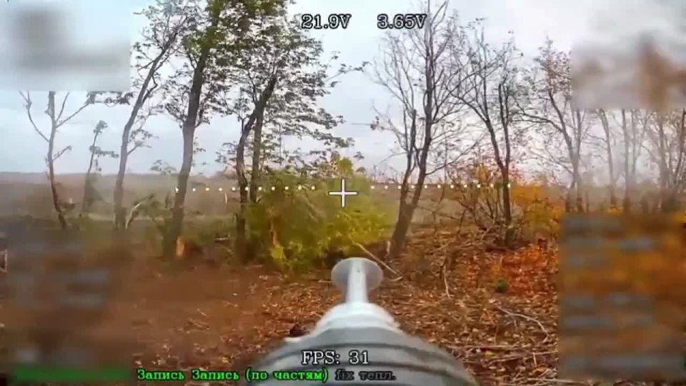 �������� ������ ���������� �� �� � ������� ����� � ���� ��