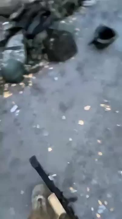 ������������ �� ����-�������� ����������� ������� ���������� ������������