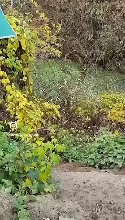 �������. ���������� ��� ������� �� ��� � ��������� �����