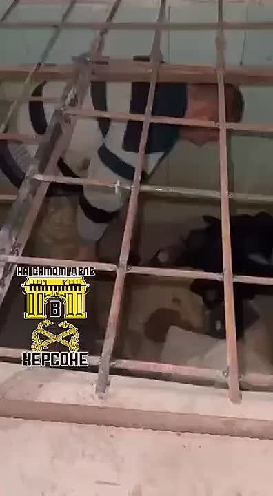 �� ������� ���������� ���������! � 95-� ����� � ������ ����� ��������� ����� �� �� �����!