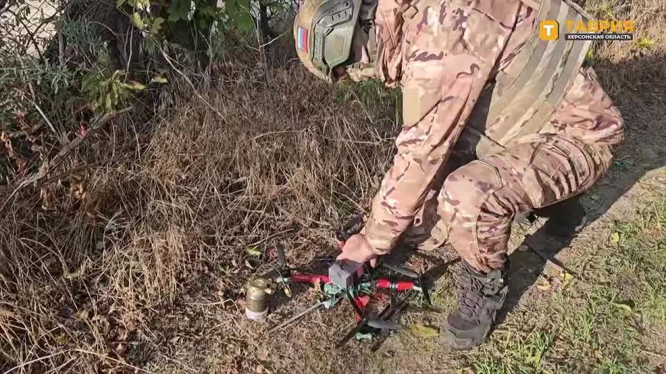 �������������� ������������� ���� �� ����������� ����� "�����" ���������� �������� ���������������� ����������� ���