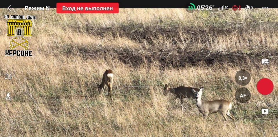 ���� �� ������ � ����������� �����������