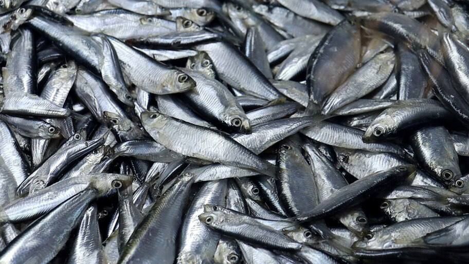 ������ ������ ��������������������� ��������� ������� ��������� � ���������� �������